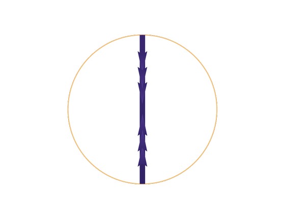 ywxexqxctmwyurfs40xpiv1egyspb89a